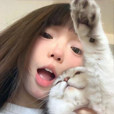 大猫竞技