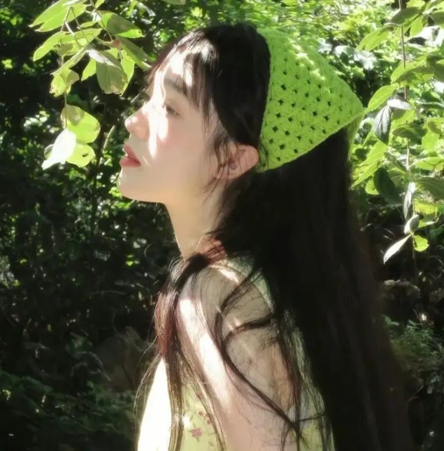 名媛双胞案
